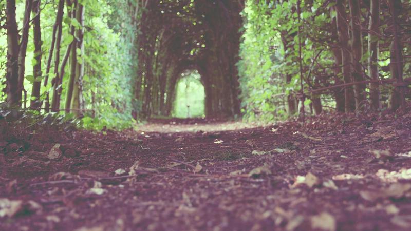 电脑转存压缩包一直提示过于频繁是咋回事